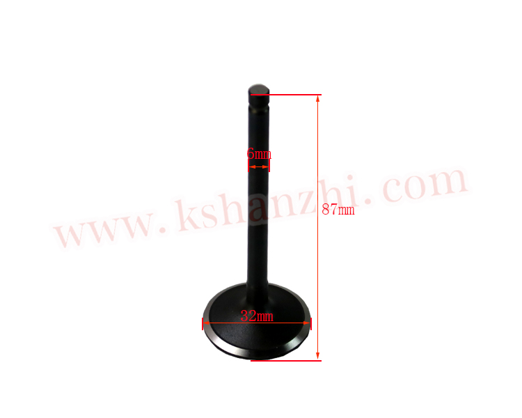 Forklift Spare Parts Engine Intake Valve Used For 3TNV76 (119717-11100)